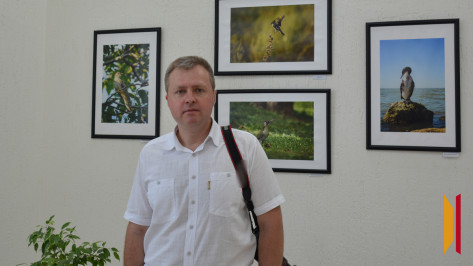 В аннинском музее открыли выставку фотографий птиц
