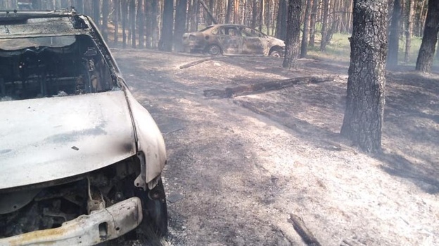 Из-за загоревшейся машины в Воронежской области произошел лесной пожар