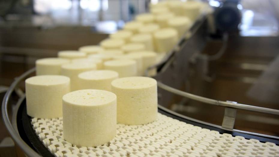 В Воронежской области запустили производство датско-шведского сыра 