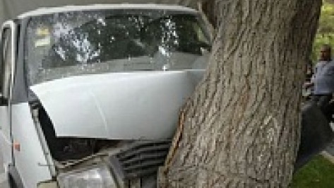 Под Воронежем «ГАЗель» врезалась в дерево: два человека ранены