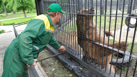 Неравнодушные воронежцы привезли в зоопарк более 5 т кормов для животных