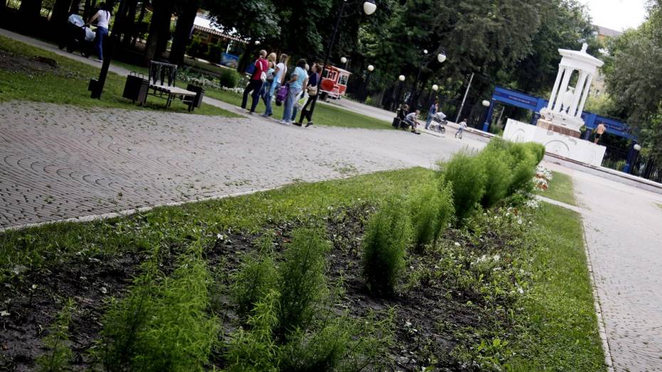 Воронежские власти выставят на торги право размещения киосков в парках