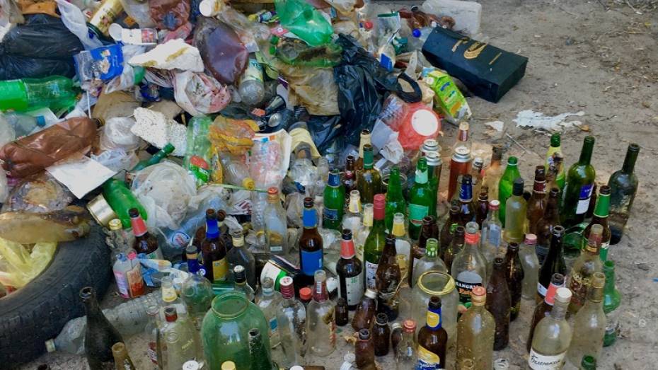 Greenpeace позвал воронежцев на уборку пластика с берега водохранилища