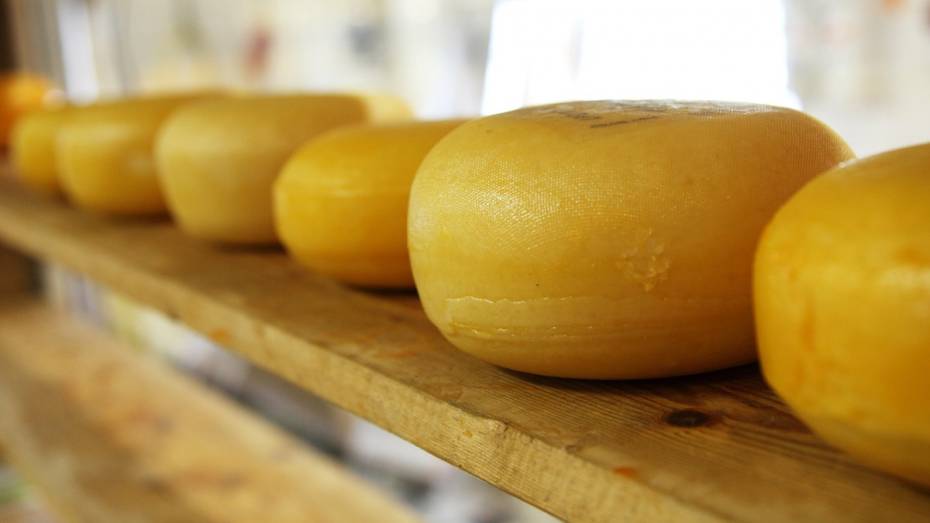 На кухне воронежского госпиталя нашли поддельный сыр