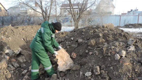 Владелец свалки в Воронеже выплатит 1,1 млн рублей