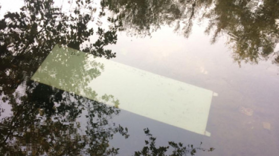 Трое воронежцев украли из частного дома сейф с деньгами и оружием