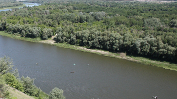 Тело утонувшего под Воронежем подростка унесло течением Дона на 10 км