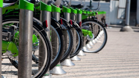 В Воронеже 20 мая пройдет всероссийский велопарад