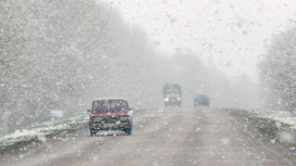В Воронежской области одновременно ожидаются мокрый снег с сильным ветром, туман и гололед