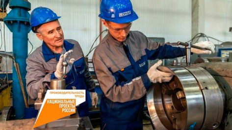 Региональный этап Всероссийского конкурса «Лучшие практики наставничества» стартовал в Воронеже