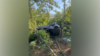 В Воронежской области Hyundai ix35 вылетел в кювет: скончался 15-летний подросток