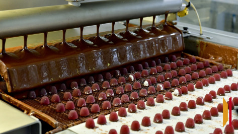 Владелец ГК «КДВ» обжаловал национализацию кондитерской фабрики под Воронежем