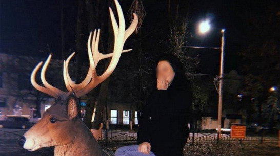 Борисоглебцев возмутило фото неизвестной девушки на декоративном олене в центральном сквере