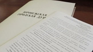 Депутаты гордумы согласились с новым залогом для кредита «Воронежтеплосети», чтобы не оставлять треть горожан без горячей воды