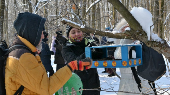 Воронежцы покормят птиц подорожавшими семечками