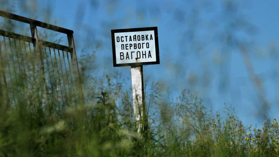 Восемь человек погибли на железной дороге в Воронежской области