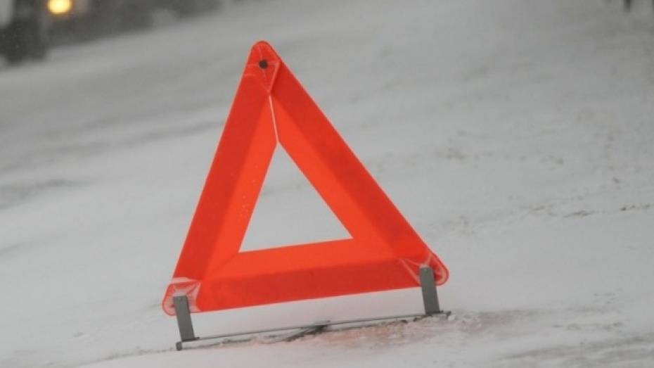 В ДТП на трассе в Воронежской области погибла 4-летняя девочка