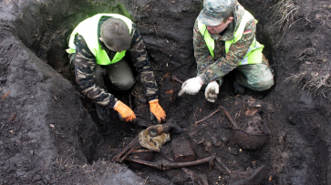 Воронежские поисковики нашли останки 12 красноармейцев в яблоневом саду 