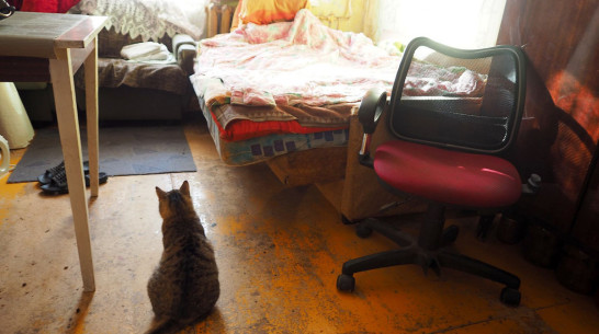 Количество находящихся под домашним наблюдением воронежцев за сутки выросло в 2 раза