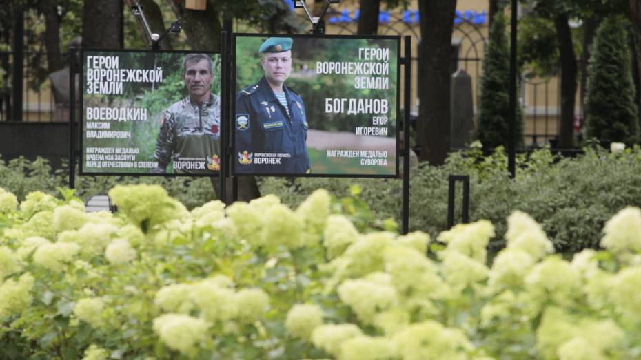 Стенды с фотографиями героев СВО появились в воронежском парке «Орленок»
