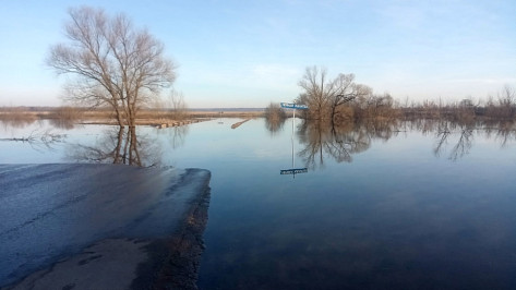В селе Новая Калитва Россошанского района затопило низководный мост