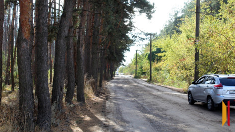 Запрет на посещение лесов в Воронежской области могут продлить до 25 сентября
