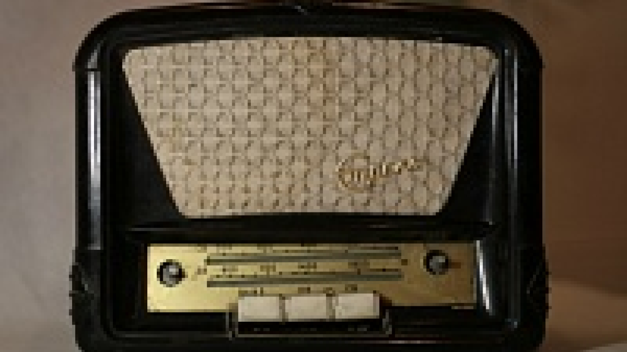 Цену радиоточки в Воронеже признали самой высокой в России