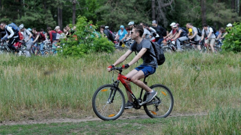 Воронежцы отметят Международный Олимпийский день велопробегом 