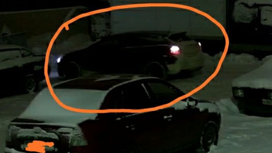 Взлом машин бандой автомобильных воров в Воронеже попал на видео 