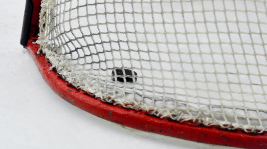 Хоккейная «Россошь» разгромно проиграла «Белгороду» дома