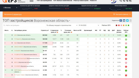 Аналитики: ДСК лидирует в Воронежской области по объемам строительства жилья
