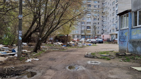 «Появились скелеты животных»: когда уже уберут загаженный переулок в Воронеже