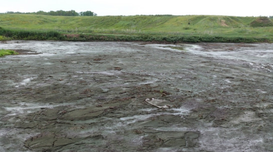 «Маяк» уберет за собой навоз