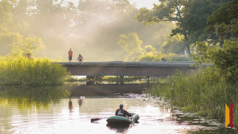 В Воронежскую область придет 31-градусная жара