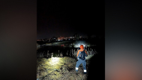 В Воронеже уже 4 дня волонтеры ищут мужчину, нуждающегося в медицинской помощи