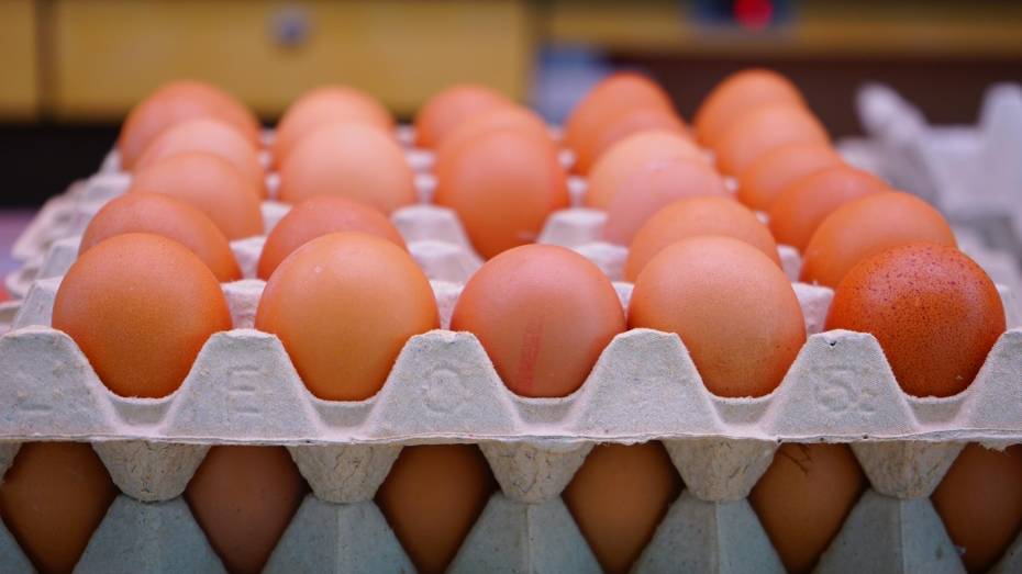 «Ситуация будет исправлена в ближайшее время»: Президент РФ – о повышении цен на яйца