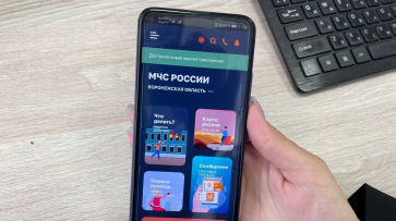 Воронежцам рекомендуют установить мобильное приложение МЧС России