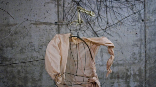 В центре Воронежа появятся скульптуры из ткани и проволоки