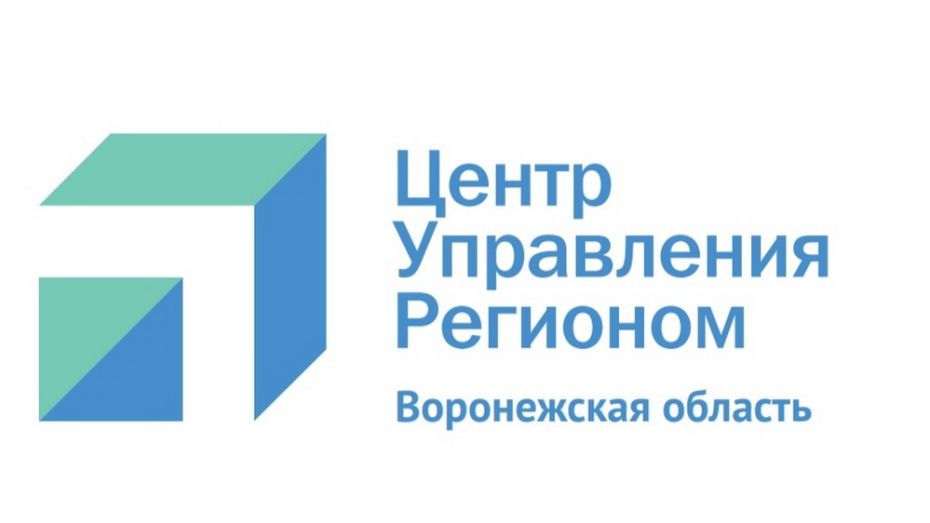Воронежская область получит свой Центр управления регионом