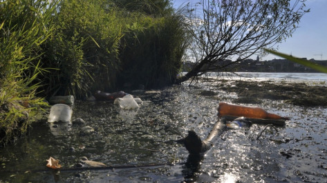 Власти сэкономили около 9 млн рублей на восстановлении Масловского затона в Воронеже