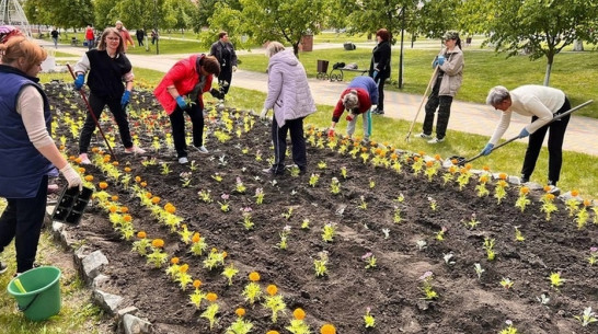 В Нижнедевицке высадили более 9 тыс цветов