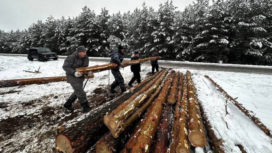 Грибановцы заготовили более 36 кубометров леса для отправки в зону СВО