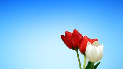 Стало известно, какая погода ожидается в Воронеже 8 марта