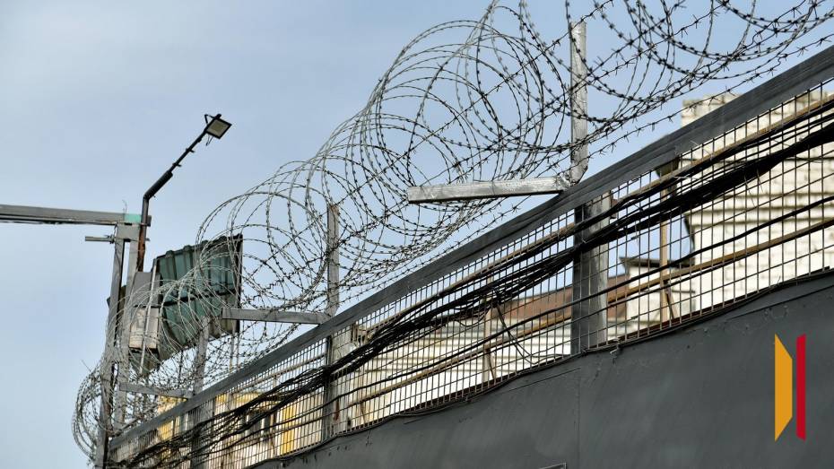 Воронежец получил 5 лет колонии за призыв к свержению власти в социальной сети