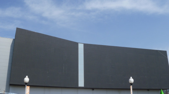 Первое для Воронежа проекционное шоу будет посвящено холестерину