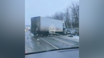 Воронежцам рассказали подробности смертельного лобового ДТП с микроавтобусом и грузовиком