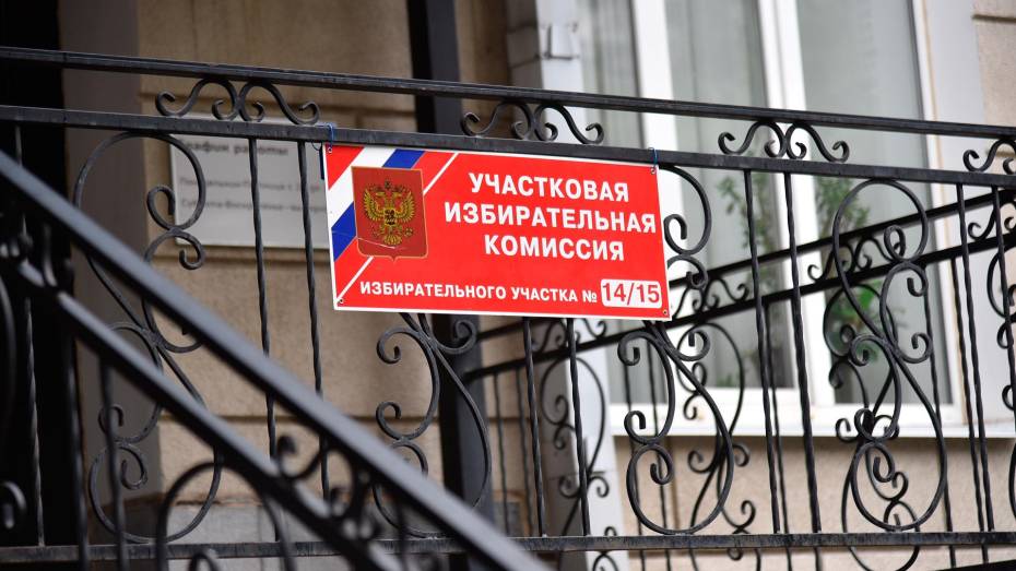 Общая явка на выборах в Воронежской области составила более 13,5 процента