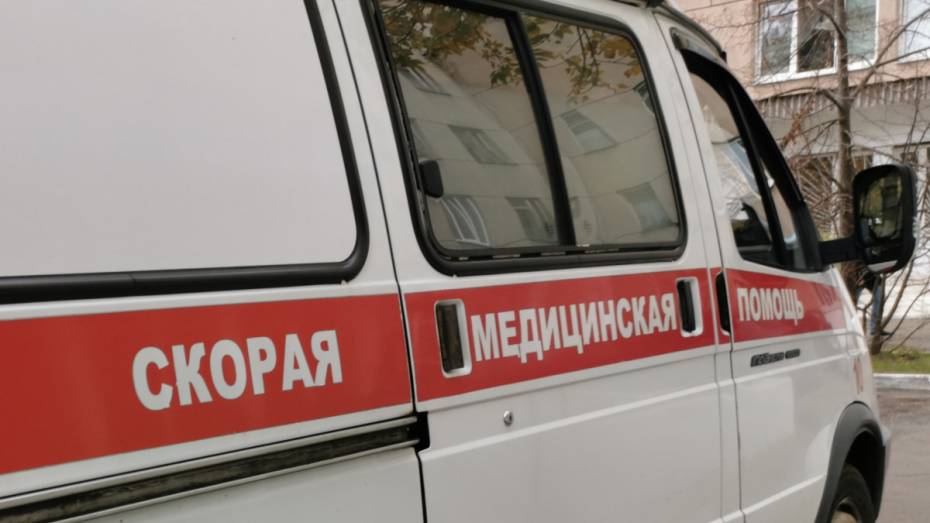 Под Воронежем микроавтобус сбил 7-летнюю девочку