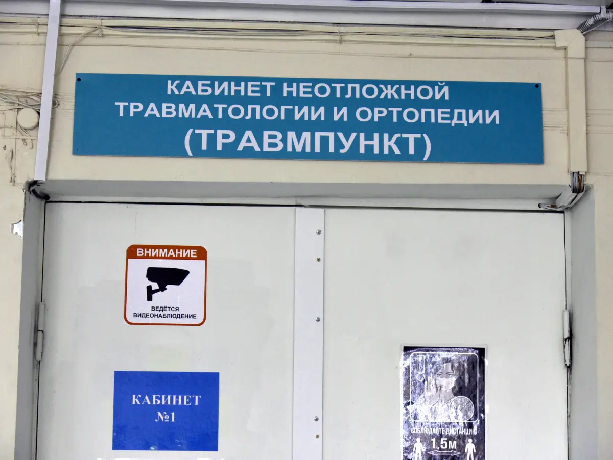 Агрессивные собаки за сутки покусали 2 человек в Центральном районе Воронежа