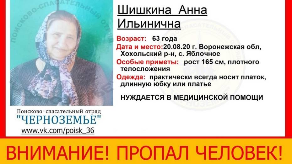 В хохольском селе Яблочное пропала нуждающаяся в медпомощи пенсионерка